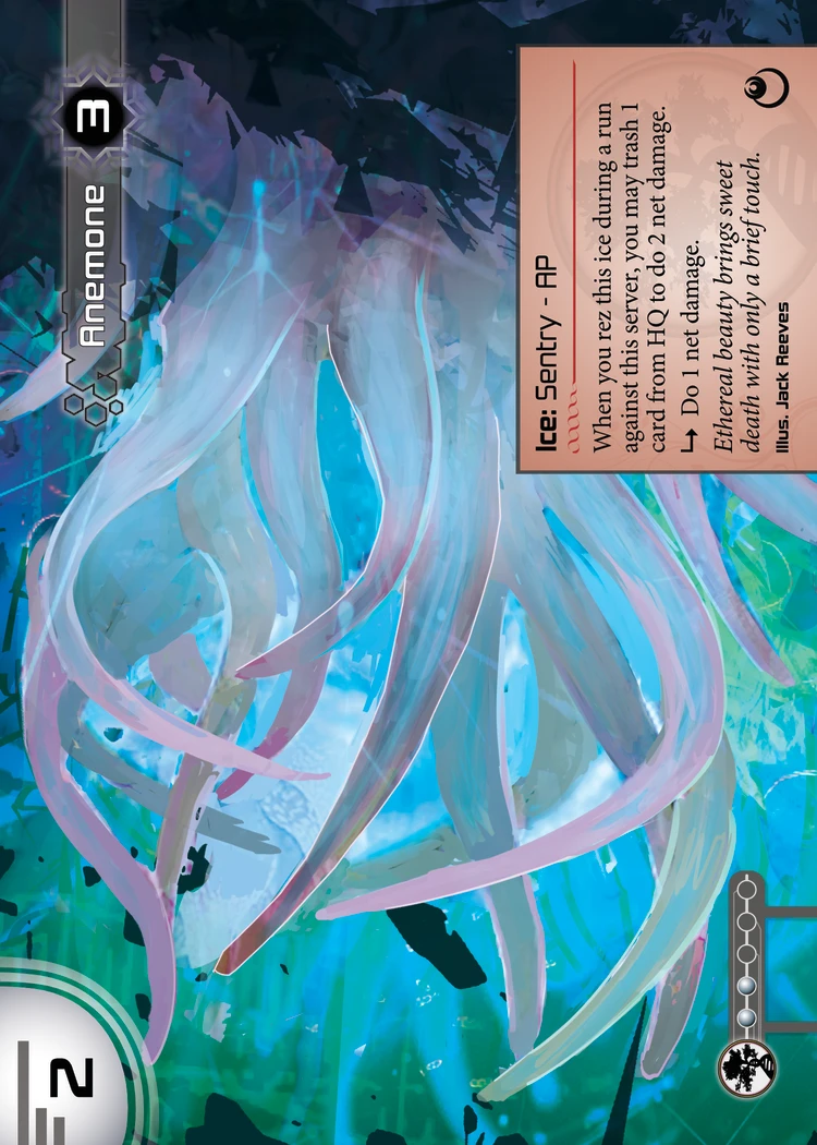 Anemone